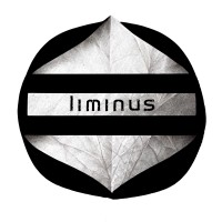 Liminus Consulting logo - Similar company to إنتاجي
