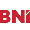 BNI Phoenix Basingstoke logo - Similar company to Face2Facehr Basingstoke
