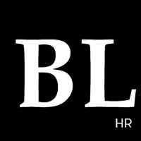 BoundlessHR logo - Similar company to Kaius Black