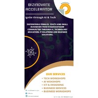 BiziNovate ICT Academy NPC logo - Similar company to Afrofuture Tech