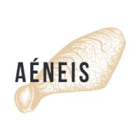 Aéneis logo - Similar company to Club Noé