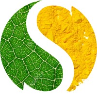 Brazilian Skin logo - Similar company to Rebeccatech Llc