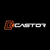 Castor Suspensões logo - Similar company to K-Zin