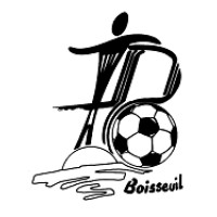 BOISSEUIL FOOTBALL CLUB logo - Similar company to Immoboost By Lva