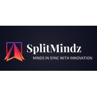 SplitMindz logo - Similar company to 24Digitals Limited