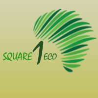 Square One Eco Africa logo - Similar company to Namehatch