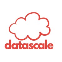 datascale logo - Similar company to Scaleapp.Tech