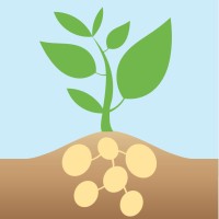 Northern Konstar Potatoes logo - Similar company to Lennard Ag Company