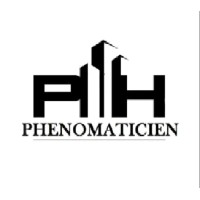 PHENOMATICIEN logo - Similar company to Genius Elevators Academy