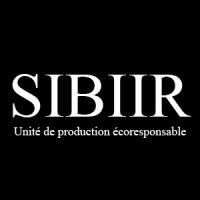 SIBIIR logo - Similar company to Ori7On Ventures