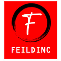 FeildInc logo - Similar company to Hype At High Point University