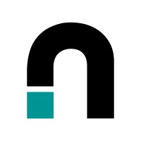 netsome logo - Similar company to Sef Digital