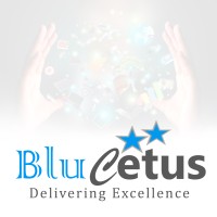 BluCetus Private Limited logo - Similar company to Bkn Gmbh & Co. Kg