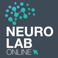 Neuro Lab Online | Eye Tracking | Face Coding | BRI | IAT | logo - Similar company to Quali Responses