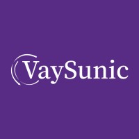 VaySunic logo - Similar company to Koneksun
