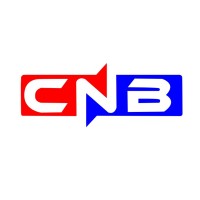 CNB Academy logo - Similar company to Cnb Academy