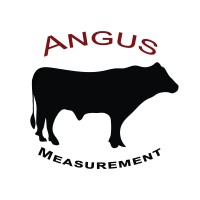 Angus Measurement Services, LP logo - Similar company to Daniel® Measurement & Control