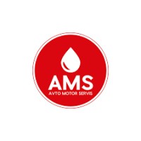 AMS GROUP logo - Similar company to Algirdai Ltd