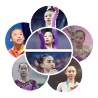 Gymternet China logo - Similar company to Mp Gymnastics