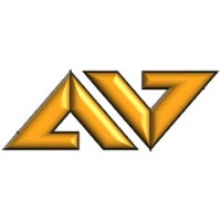 AV Consulting logo - Similar company to Salpharma
