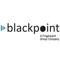 BlackPoint Consulting Group, LLC logo - Similar company to Inet-Nyc
