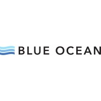WeAreBlueOcean logo - Similar company to Strtgy