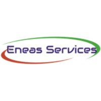 Eneas Services Cameroun