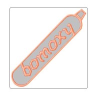 Bombay Oxygen Corporation Ltd. logo - Similar company to Beyondarie