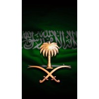 المملكة العربية السعودية logo - Similar company to Accountability State Authority - Asa