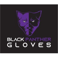 Black Panther Gloves