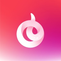 Octapus Inc logo - Similar company to Awesomi