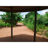 Espace Toyigbena logo - Similar company to Agro-Opportunity