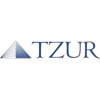 Tzur Management logo - Similar company to Vernet Technologies