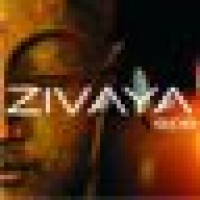 Zivaya Wellness Pvt. Ltd logo - Similar company to Ode Spa.Wellness