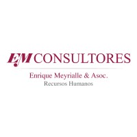 EM CONSULTORES logo - Similar company to Em Consulting Group