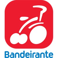 Brinquedos Bandeirante S/A logo - Similar company to Bognar Metais