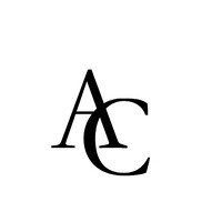 Arya Capital logo - Similar company to Lbk Consulting