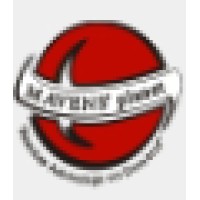 MAVENS' planet logo - Similar company to Connecd