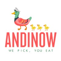 Andinow logo - Similar company to Hypengin