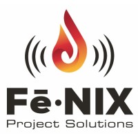 Fē•NIX Project Solutions LLC logo - Similar company to Chicago Testing Lab