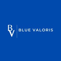 Blue Valoris logo - Similar company to Turing Tech