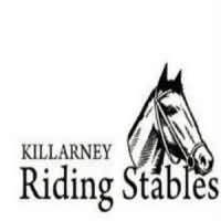 Killarney Riding Stables logo - Similar company to Grounded Pottery