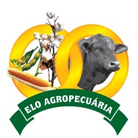 Elo Agropecuária logo - Similar company to Ms Pantanal - Desenvolvimento De Sistemas