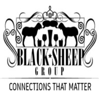 Black Sheep Group logo - Similar company to Breezyfile