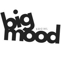 Big Mood Social logo - Similar company to Dayna Does