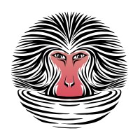 Snow Monkey