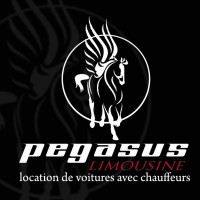 Pegasus Limousine logo - Similar company to Avantage Limousine Services
