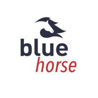 Blue Horse Group logo - Similar company to Nocodefinder