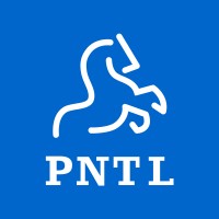 Pentium Network logo - Similar company to Everon Learning Solutions