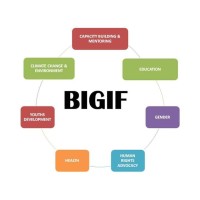 BIGIF NGO logo - Similar company to Health Aid For All Initiative (Ngo)